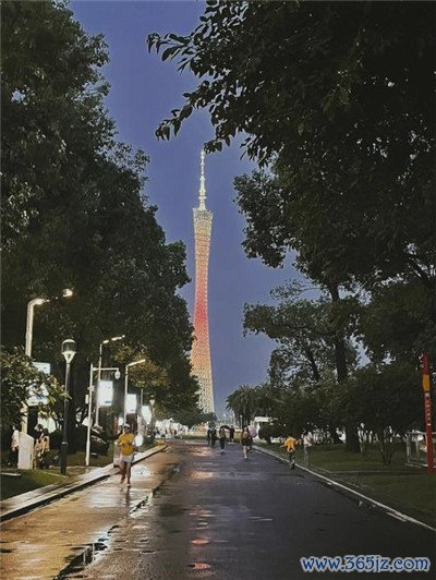 深圳叫洋马,享受不一样的服务待遇 深圳叫洋马,享受不一样的服务待遇